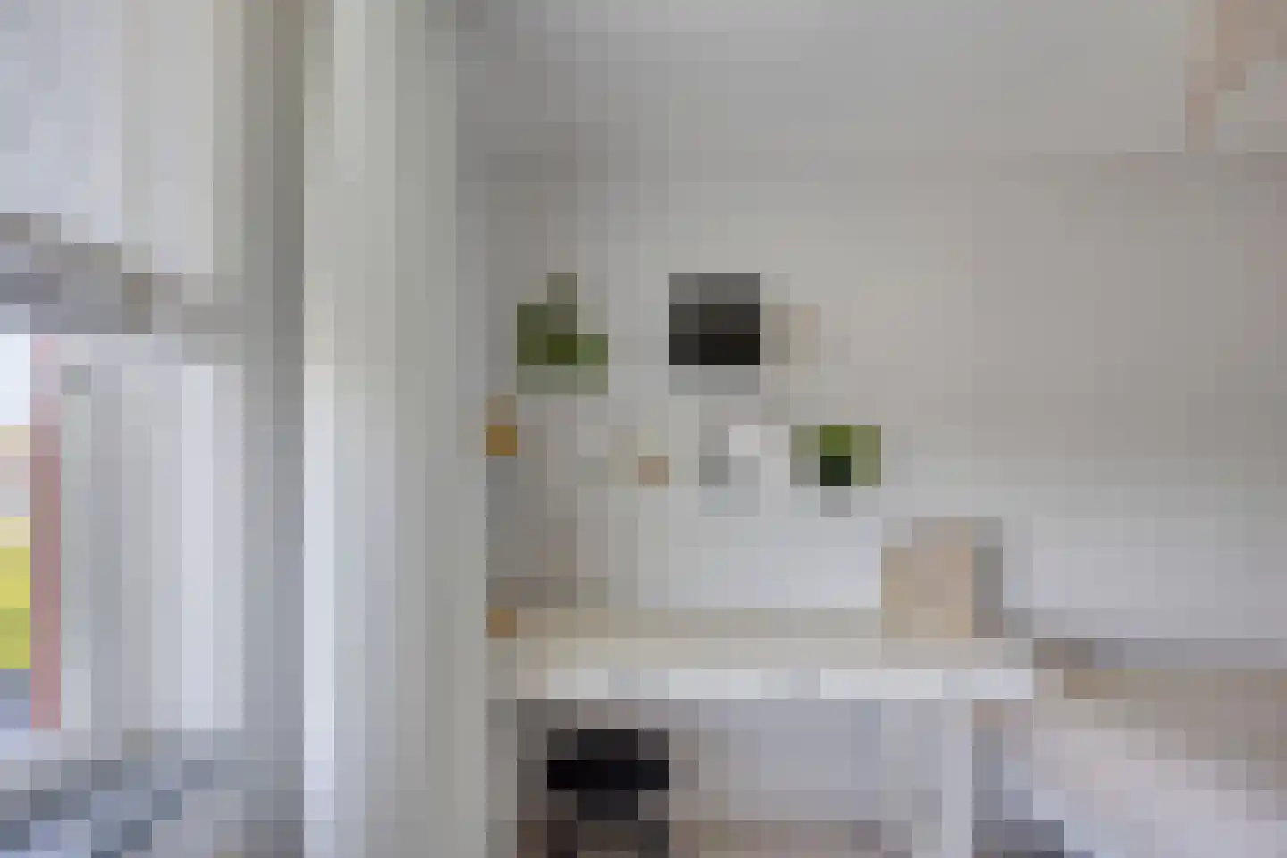 Kortlandpad 27 Zoetermeer thumbnail 19