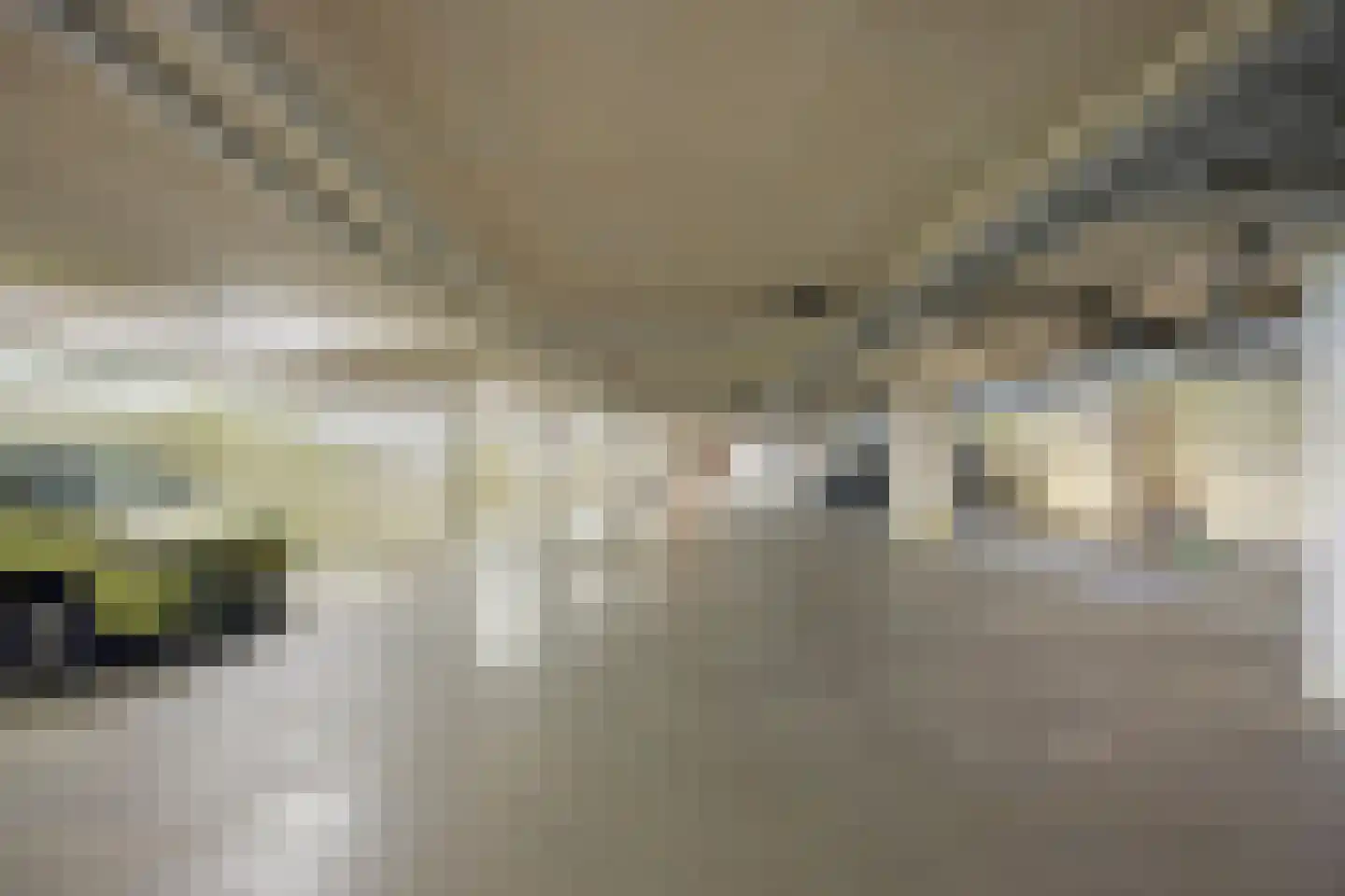 Kortlandpad 27 Zoetermeer thumbnail 26