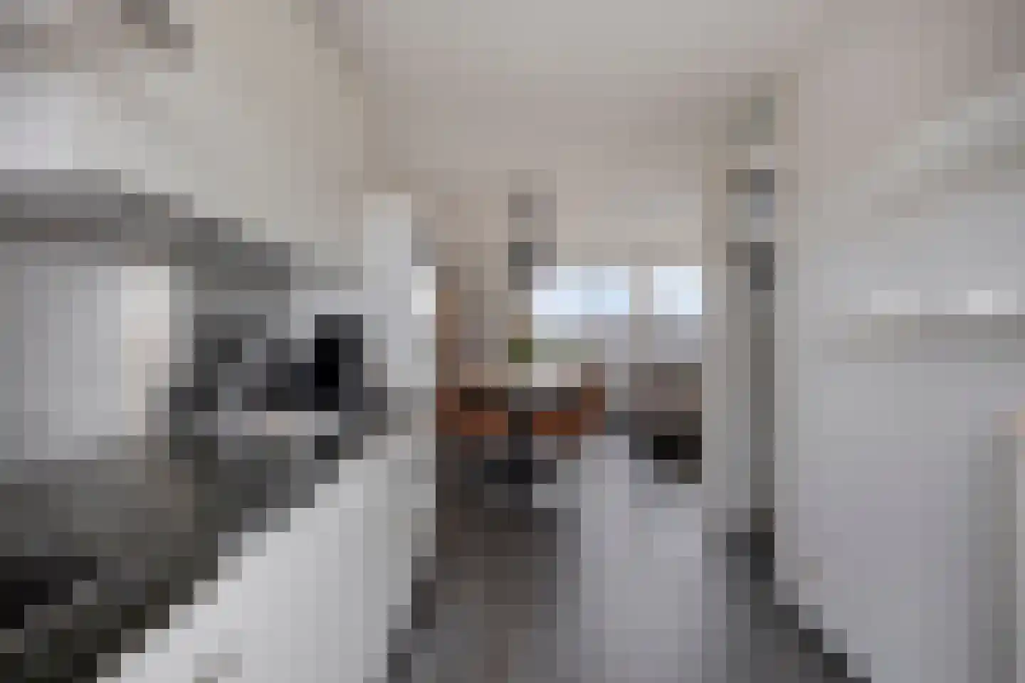 Kortlandpad 34 Zoetermeer thumbnail 11
