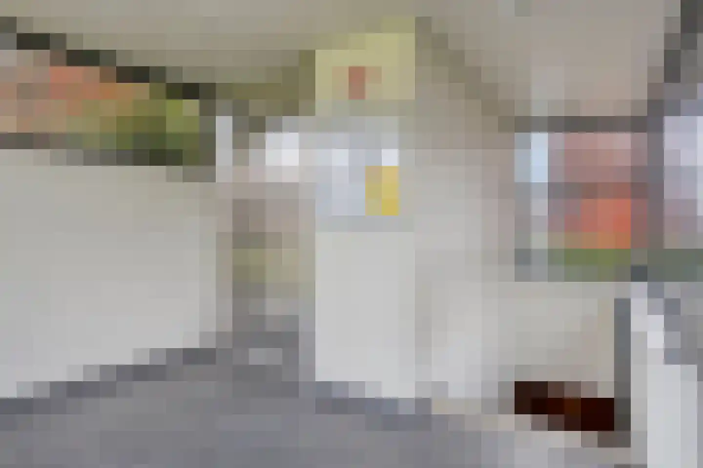 Kortlandpad 34 Zoetermeer thumbnail 32