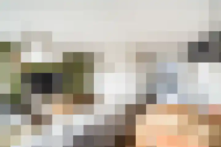Kortlandpad 37 Zoetermeer thumbnail 17