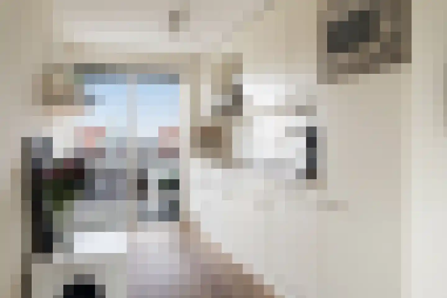 Kortlandpad 37 Zoetermeer thumbnail 18