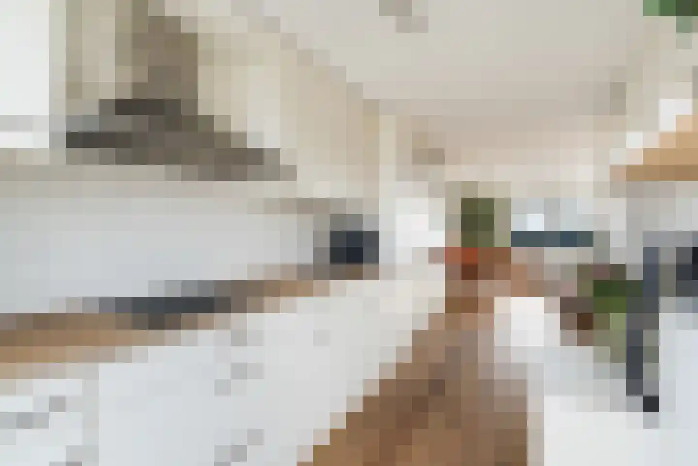 Kortlandpad 37 Zoetermeer thumbnail 20