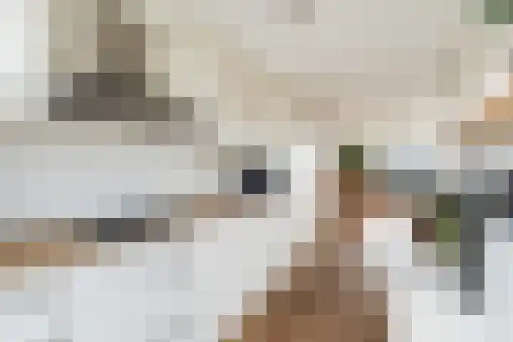 Kortlandpad 37 Zoetermeer thumbnail 20