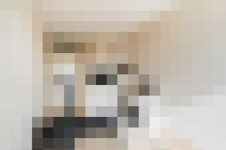Kortlandpad 37 Zoetermeer thumbnail 29