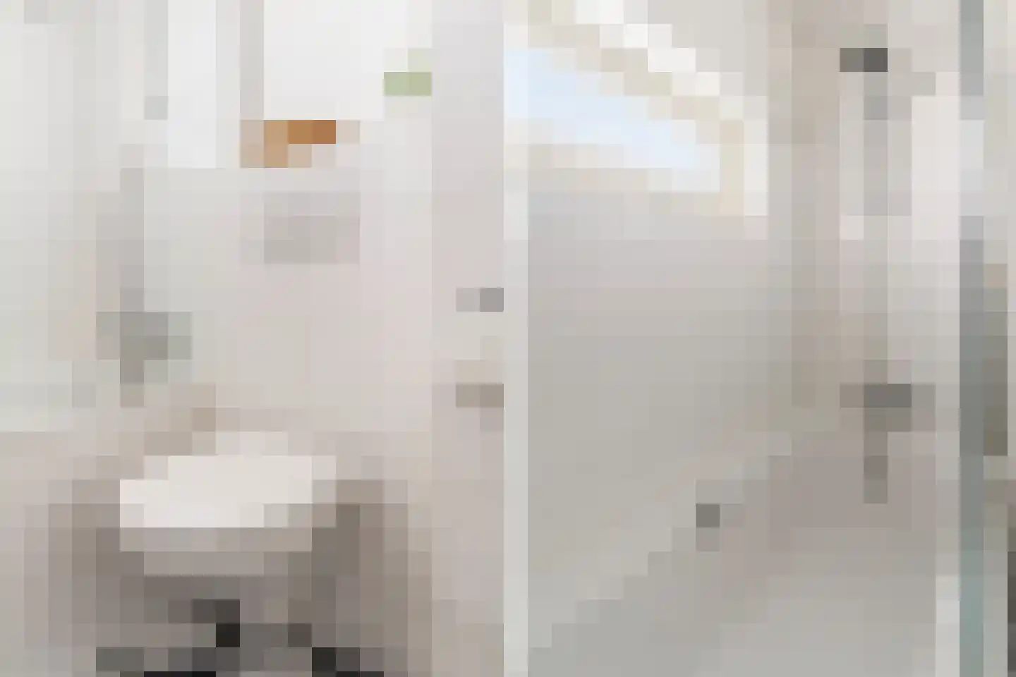 Kortlandpad 37 Zoetermeer thumbnail 31