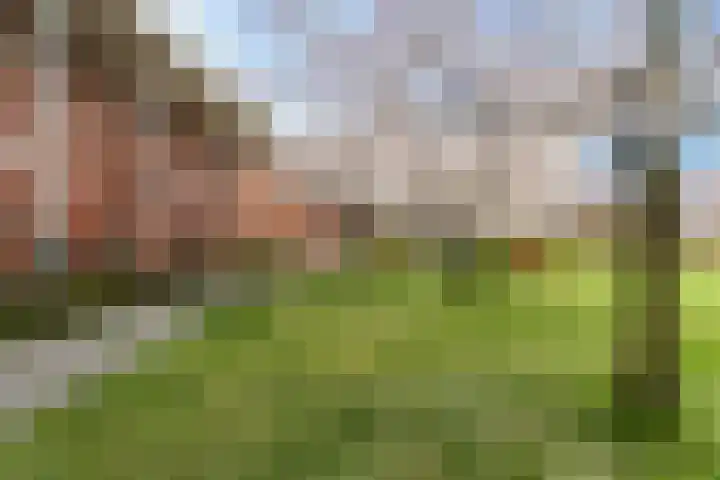 Kortlandpad 37 Zoetermeer thumbnail 38