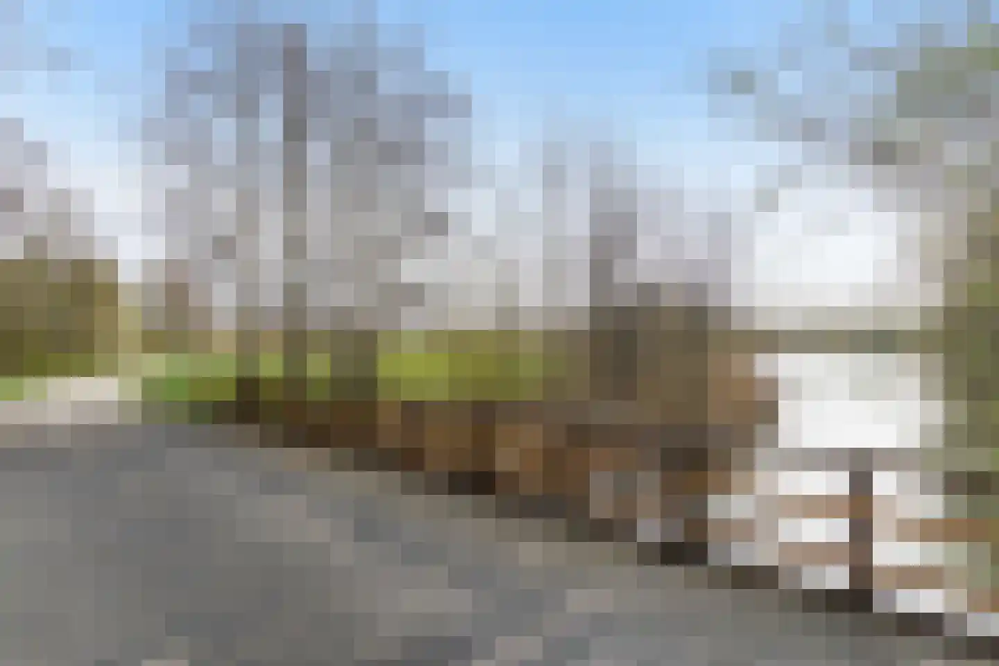 Kortlandpad 37 Zoetermeer thumbnail 40