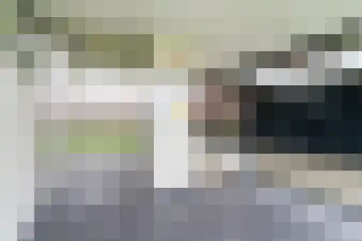 Kortlandpad 37 Zoetermeer thumbnail 8