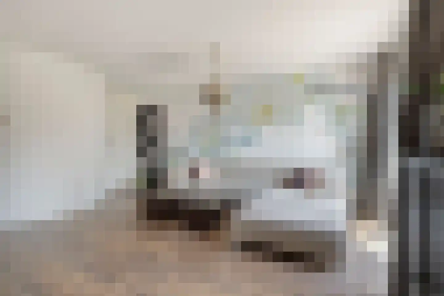 Kortlandpad 57 Zoetermeer thumbnail 10