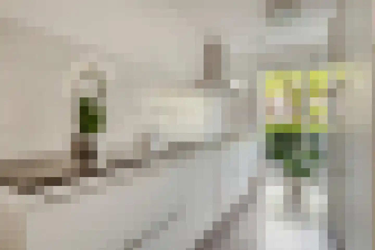Kortlandpad 57 Zoetermeer thumbnail 18