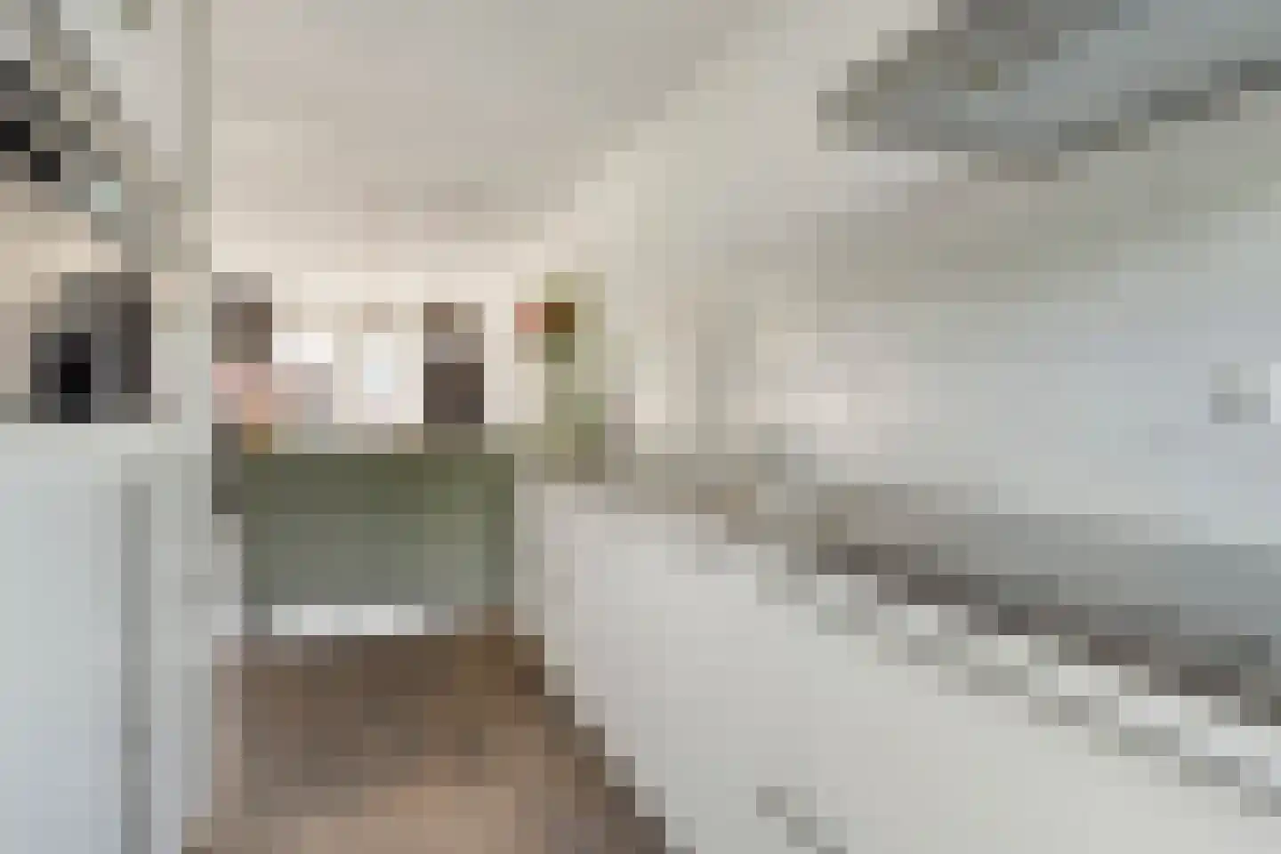 Kortlandpad 57 Zoetermeer thumbnail 21