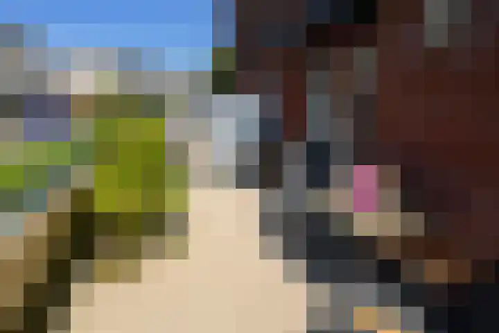 Kortlandpad 76 Zoetermeer thumbnail 18