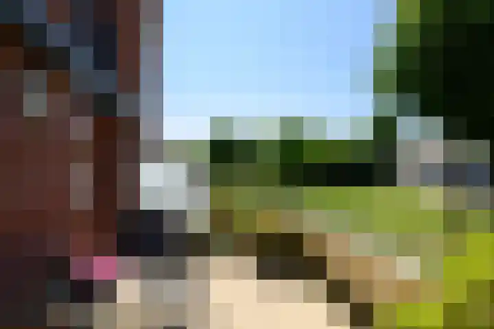 Kortlandpad 76 Zoetermeer thumbnail 19