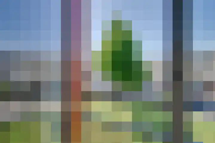Kortlandpad 76 Zoetermeer thumbnail 24