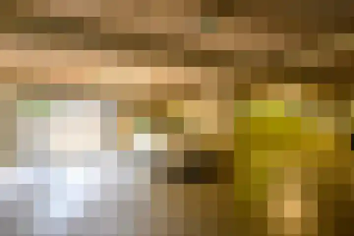 Kortlandpad 76 Zoetermeer thumbnail 34
