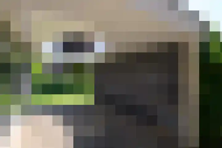 Kortlandpad 76 Zoetermeer thumbnail 36