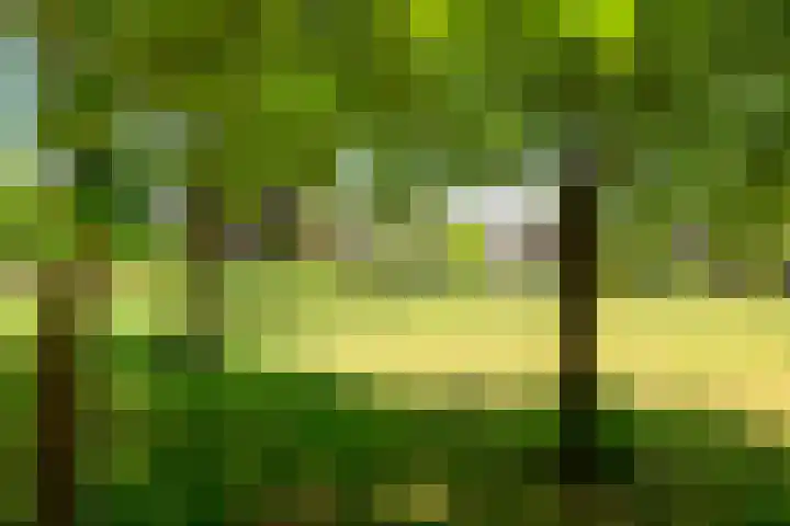 Kortlandpad 76 Zoetermeer thumbnail 5
