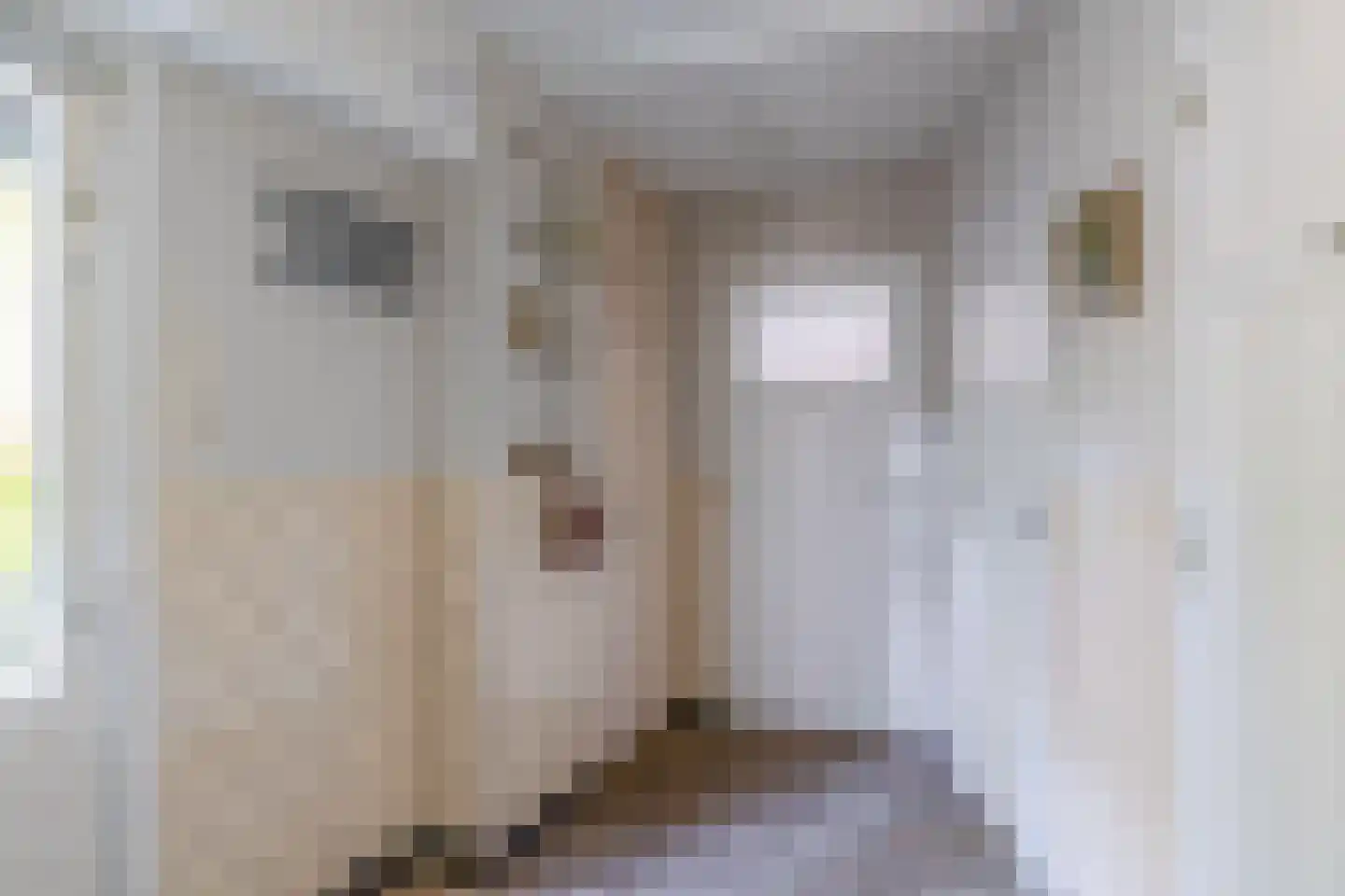 Kortlandstraat 1 Krimpen aan den IJssel thumbnail 35