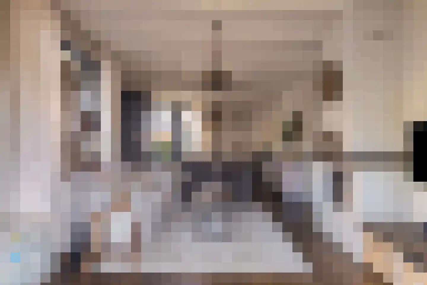 Kortlandstraat 14 Krimpen aan den IJssel thumbnail 10
