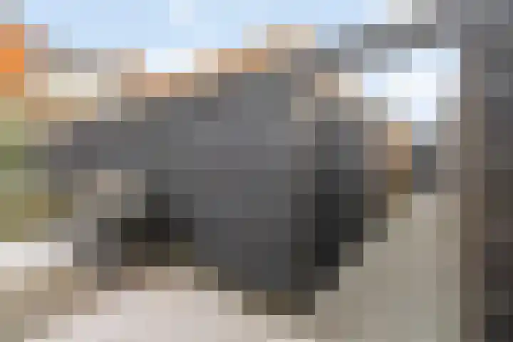 Kortlandstraat 16 Krimpen aan den IJssel thumbnail 26