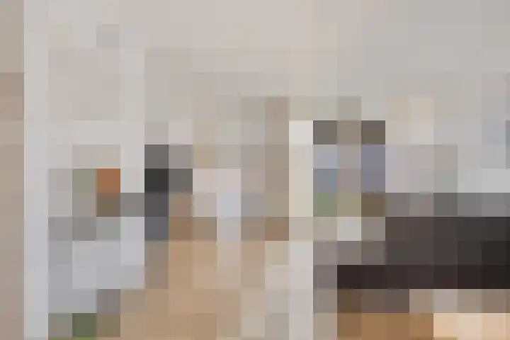 Kortlandstraat 32 Krimpen aan den IJssel thumbnail 8
