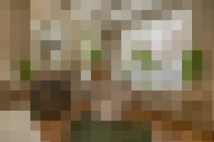 Kortlandstraat 6 Krimpen aan den IJssel thumbnail 11
