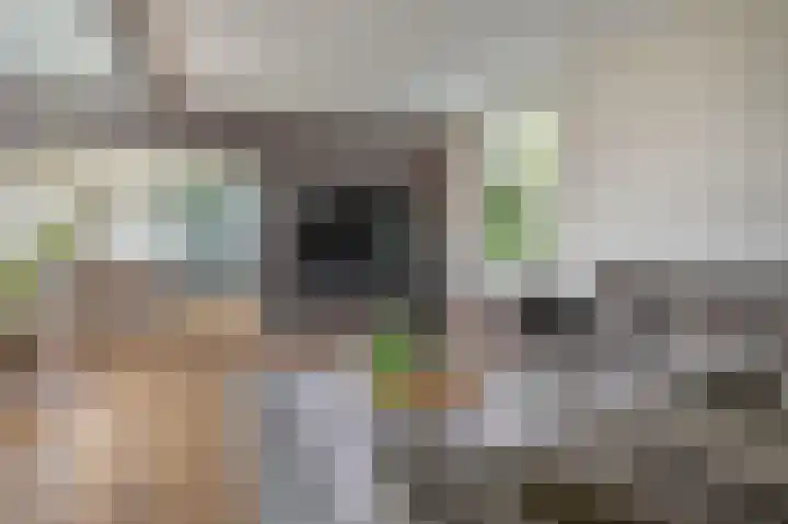 Kortlandstraat 6 Krimpen aan den IJssel thumbnail 12