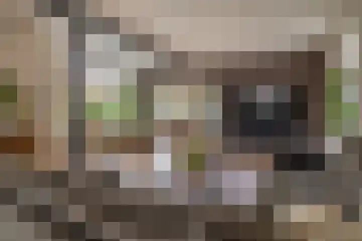 Kortlandstraat 6 Krimpen aan den IJssel thumbnail 14