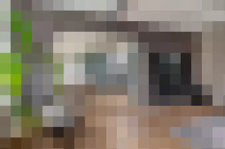 Kortlandstraat 6 Krimpen aan den IJssel thumbnail 15
