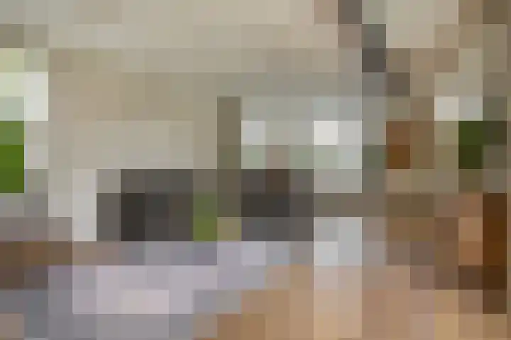 Kortlandstraat 6 Krimpen aan den IJssel thumbnail 16