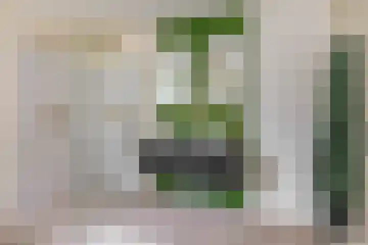 Kortlandstraat 6 Krimpen aan den IJssel thumbnail 25