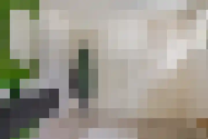 Kortlandstraat 6 Krimpen aan den IJssel thumbnail 26