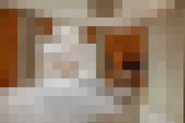 Kortlandstraat 6 Krimpen aan den IJssel thumbnail 28