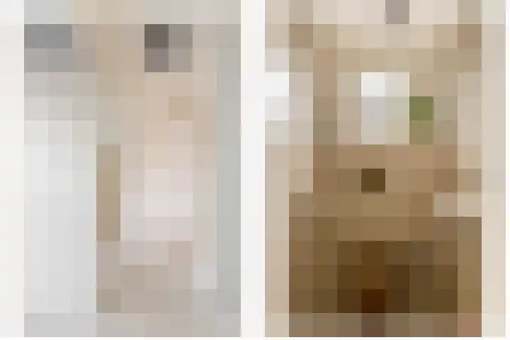 Kortlandstraat 6 Krimpen aan den IJssel thumbnail 31