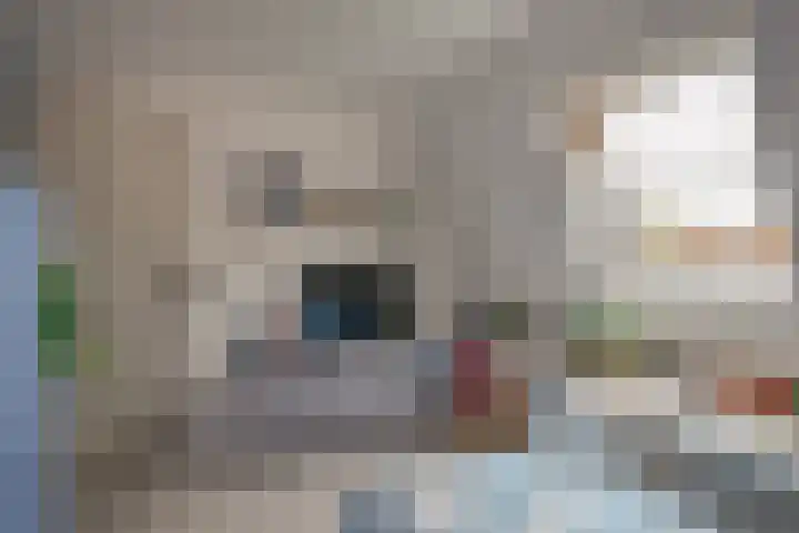Kortlandstraat 6 Krimpen aan den IJssel thumbnail 35