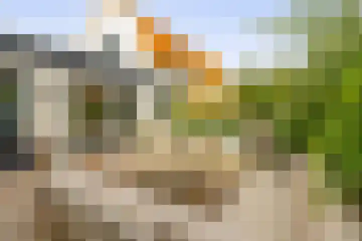 Kortlandstraat 6 Krimpen aan den IJssel thumbnail 38