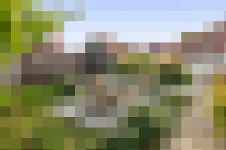 Kortlandstraat 6 Krimpen aan den IJssel thumbnail 40