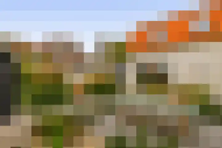 Kortlandstraat 6 Krimpen aan den IJssel thumbnail 46
