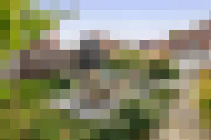 Kortlandstraat 6 Krimpen aan den IJssel thumbnail 5