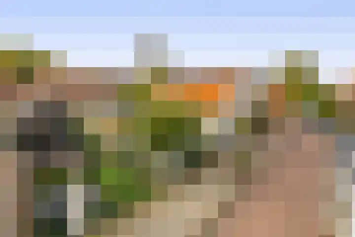 Kortlandstraat 6 Krimpen aan den IJssel thumbnail 52