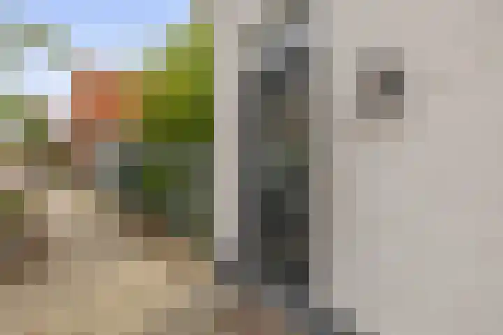 Kortlandstraat 6 Krimpen aan den IJssel thumbnail 8