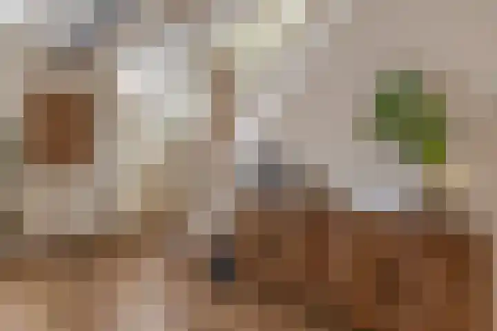 Kortlandstraat 6 Krimpen aan den IJssel thumbnail 9