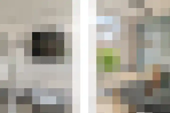 Kortlandstraat 61 Krimpen aan den IJssel thumbnail 10