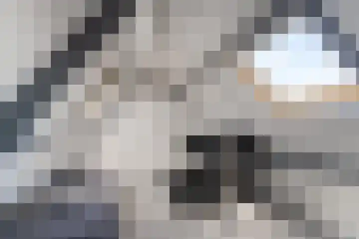 Kortlandstraat 61 Krimpen aan den IJssel thumbnail 23