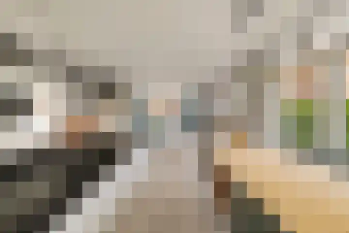 Kortlandstraat 61 Krimpen aan den IJssel thumbnail 8