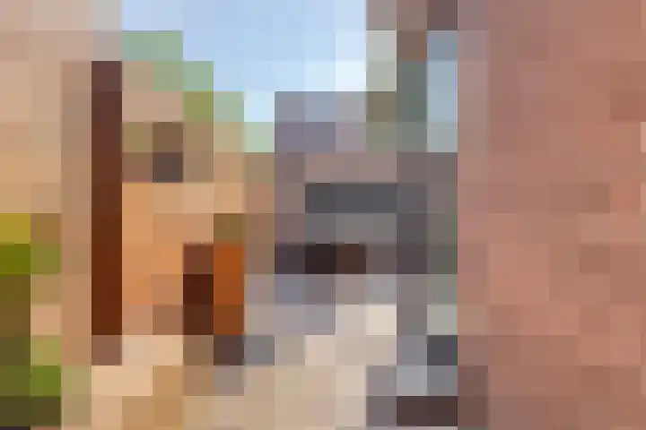 Kortlandstraat 70 Krimpen aan den IJssel thumbnail 37