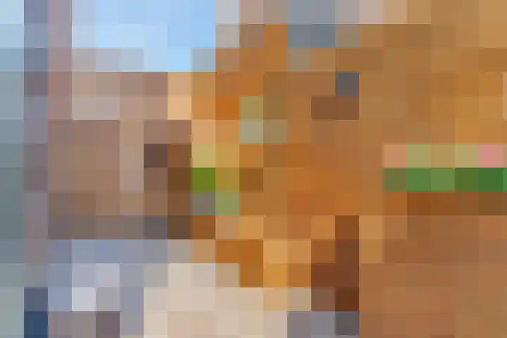 Kortlandstraat 70 Krimpen aan den IJssel thumbnail 39