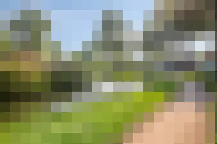Kortlandstraat 70 Krimpen aan den IJssel thumbnail 42