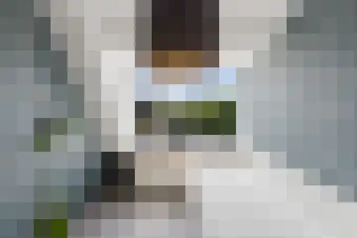 Kortlandstraat 86 Krimpen aan den IJssel thumbnail 18